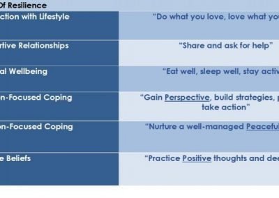 6 Pillars of Resilience Model